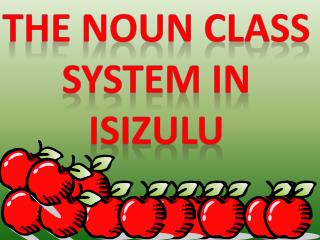 THE NOUN CLASS SYSTEM IN ISIZULU