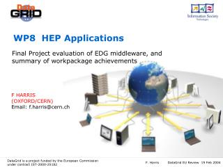 WP8 HEP Applications