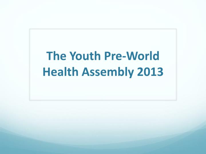 the youth pre world health assembly 2013