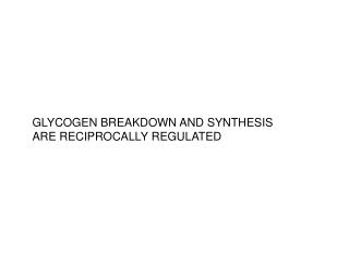 GLYCOGEN BREAKDOWN AND SYNTHESIS ARE RECIPROCALLY REGULATED