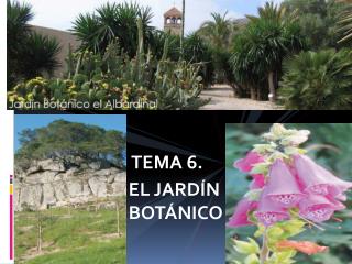 jardines bot nicos