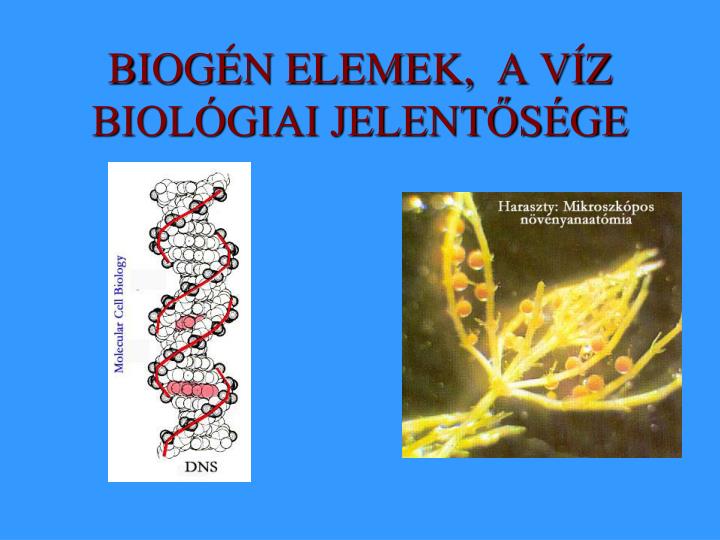 biog n elemek a v z biol giai jelent s ge