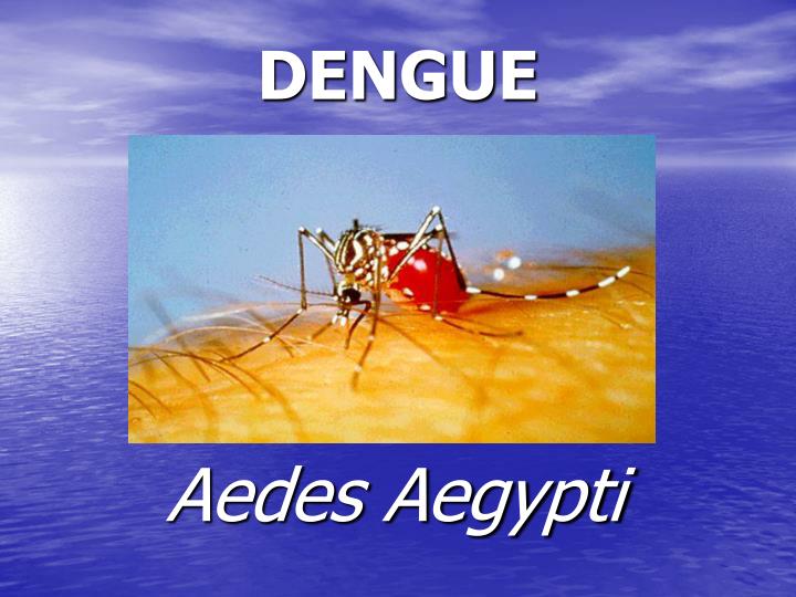 dengue