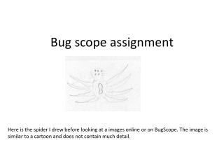 Bug scope assignment