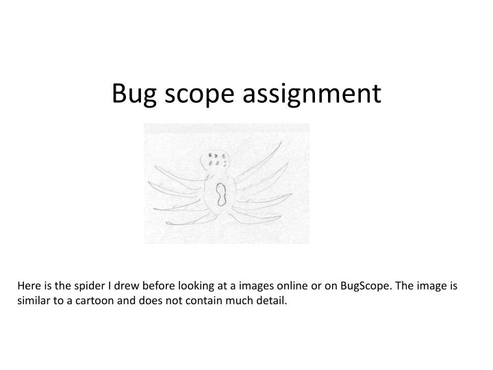 bug scope assignment