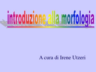 a cura di irene utzeri