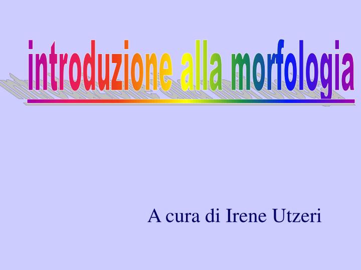 a cura di irene utzeri