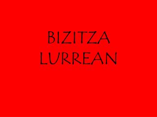 bizitza lurrean