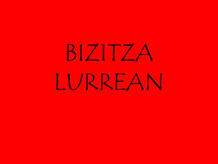 bizitza lurrean