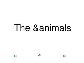 the animals