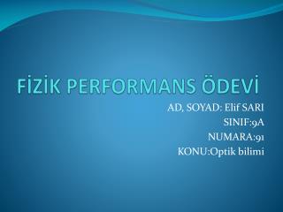 f z k performans dev