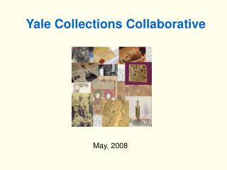Yale Collections Collaborative