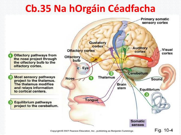 cb 35 na horg in c adfacha