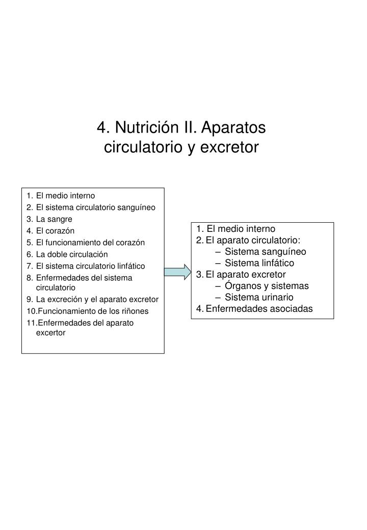 4 nutrici n ii aparatos circulatorio y excretor