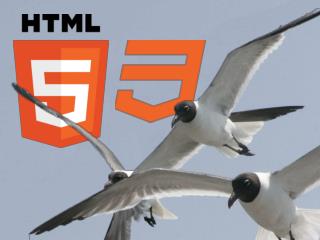 A Brief History of Time HTML5 CSS3 Tips
