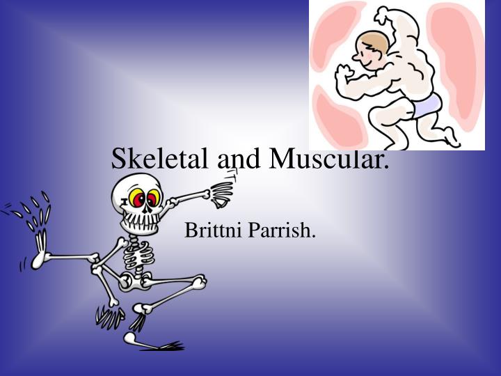 skeletal and muscular