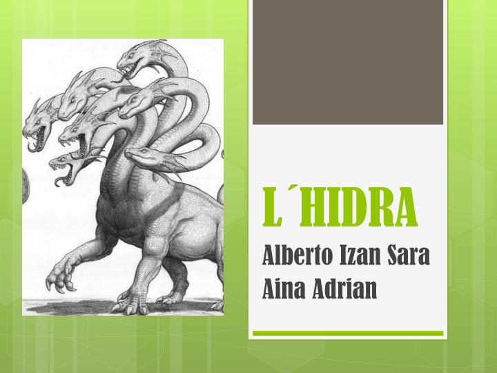 l hidra