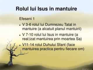 rolul lui isus in mantuire
