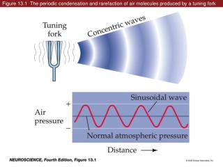 Figure 13.1 The periodic condensation and rarefaction of air molecules produced by a tuning fork