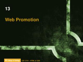 13 Web Promotion