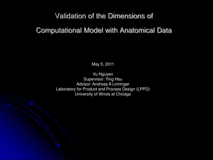 validation of the dimensions of computational model with anatomical data