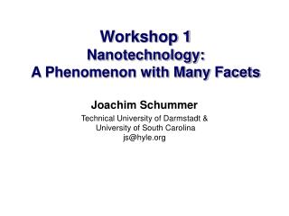 Workshop 1 Nanotechnology: A Phenomenon with Many Facets