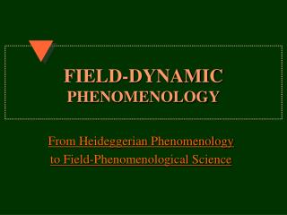 FIELD-DYNAMIC PHENOMENOLOGY