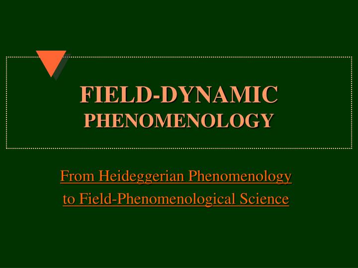 field dynamic phenomenology
