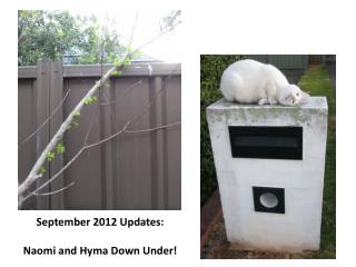 September 2012 Updates: Naomi and Hyma Down Under!