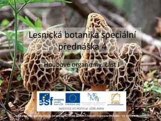 lesnick botanika speci ln p edn ka 4