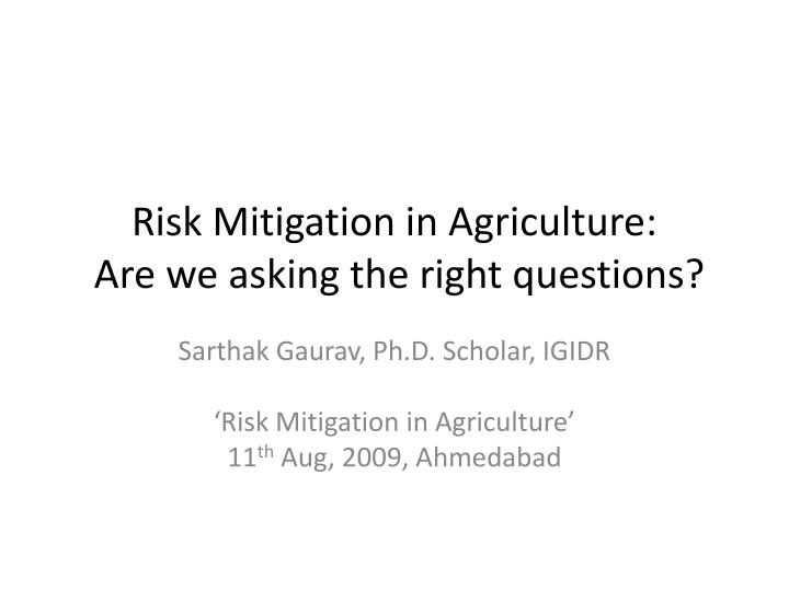 risk mitigation in agriculture are we asking the right questions