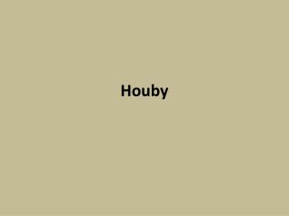houby