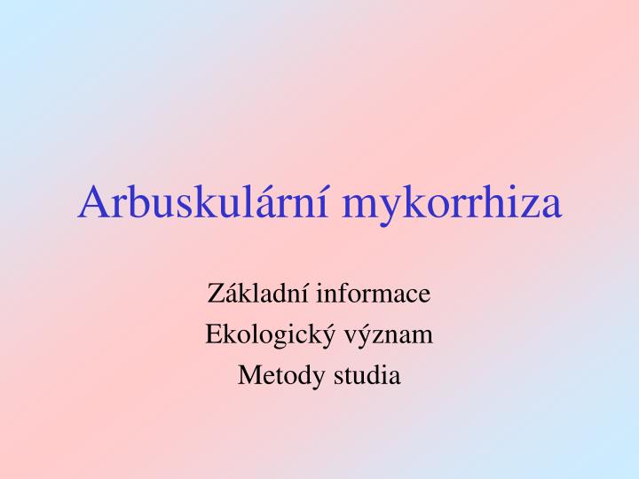 arbuskul rn mykorrhiza