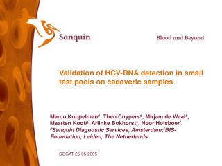 Validation of HCV-RNA detection in small test pools on cadaveric samples