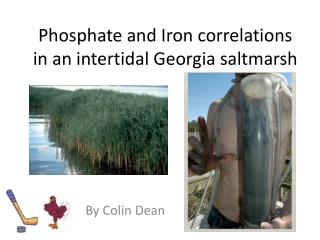 Phosphate and Iron correlations in an intertidal Georgia saltmarsh