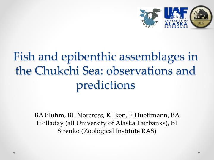 fish and epibenthic assemblages in the chukchi sea observations and predictions