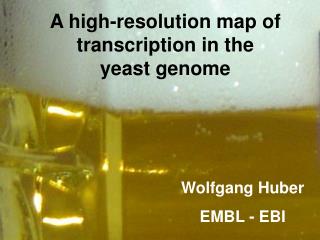 A high-resolution map of transcription in the yeast genome