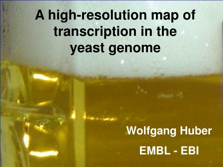 a high resolution map of transcription in the yeast genome