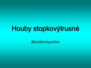houby stopkov trusn