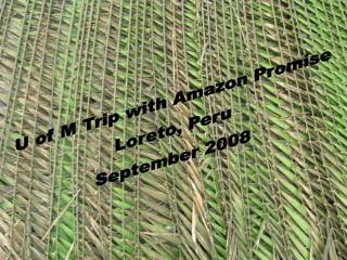 U of M Trip with Amazon Promise Loreto, Peru September 2008