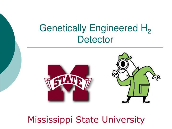 genetically engineered h 2 detector