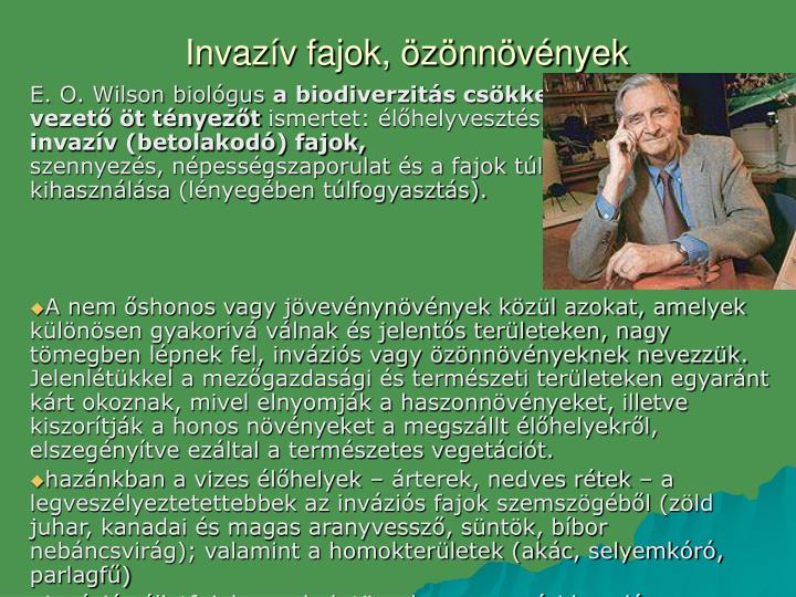 invaz v fajok z nn v nyek