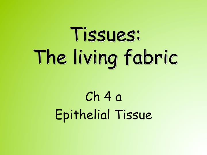 tissues the living fabric