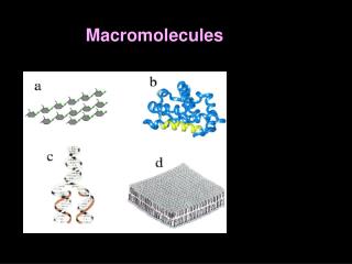 Macromolecules