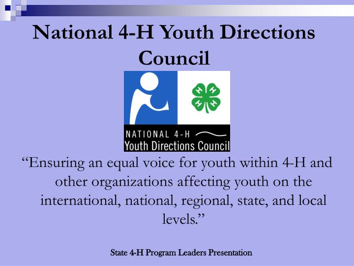 national 4 h youth directions council