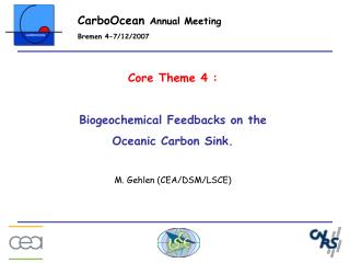 Core Theme 4 : Biogeochemical Feedbacks on the Oceanic Carbon Sink. M. Gehlen (CEA/DSM/LSCE)