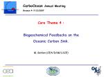 Assessing Biogeochemical Feedbacks on Oceanic Carbon Sink: Insights from the CarboOcean 2007 Meeting - slide 1