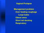 Vaginal Prolapse - slide 1