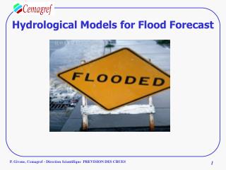 Hydrological Models for Flood Forecast