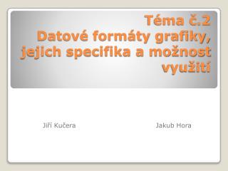 t ma 2 datov form ty grafiky jejich specifika a mo nost vyu it